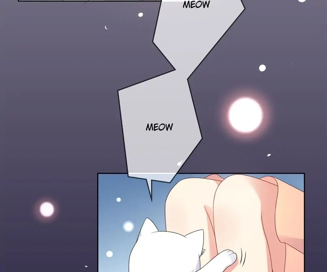 Popular Deskmate is A Cat chapter 10 - page 11
