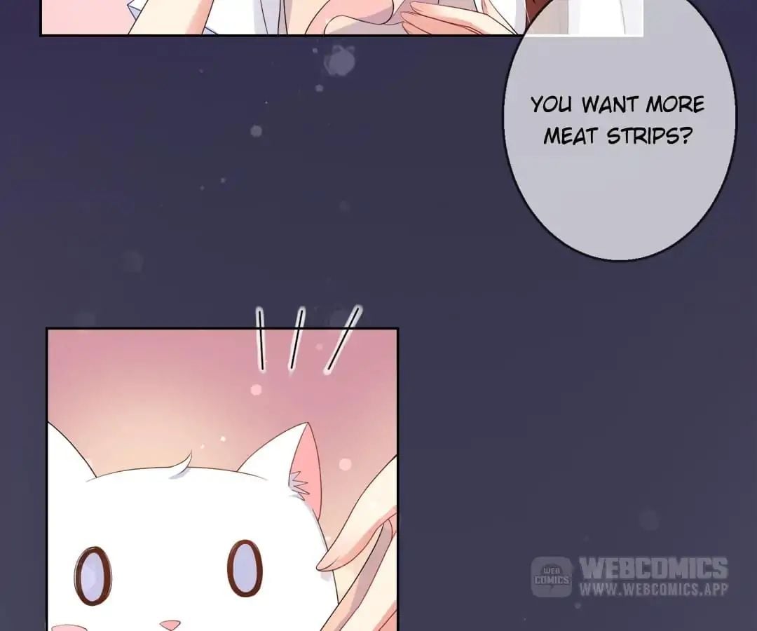 Popular Deskmate is A Cat chapter 10 - page 14