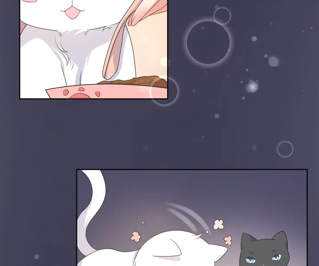 Popular Deskmate is A Cat chapter 10 - page 15