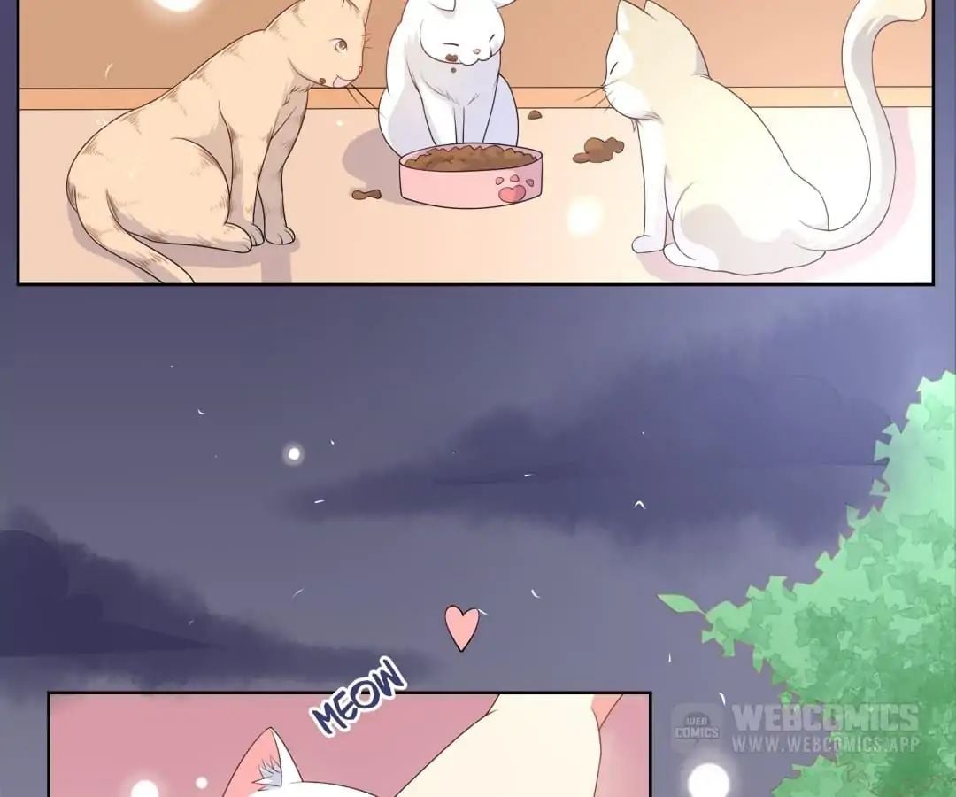Popular Deskmate is A Cat chapter 10 - page 2