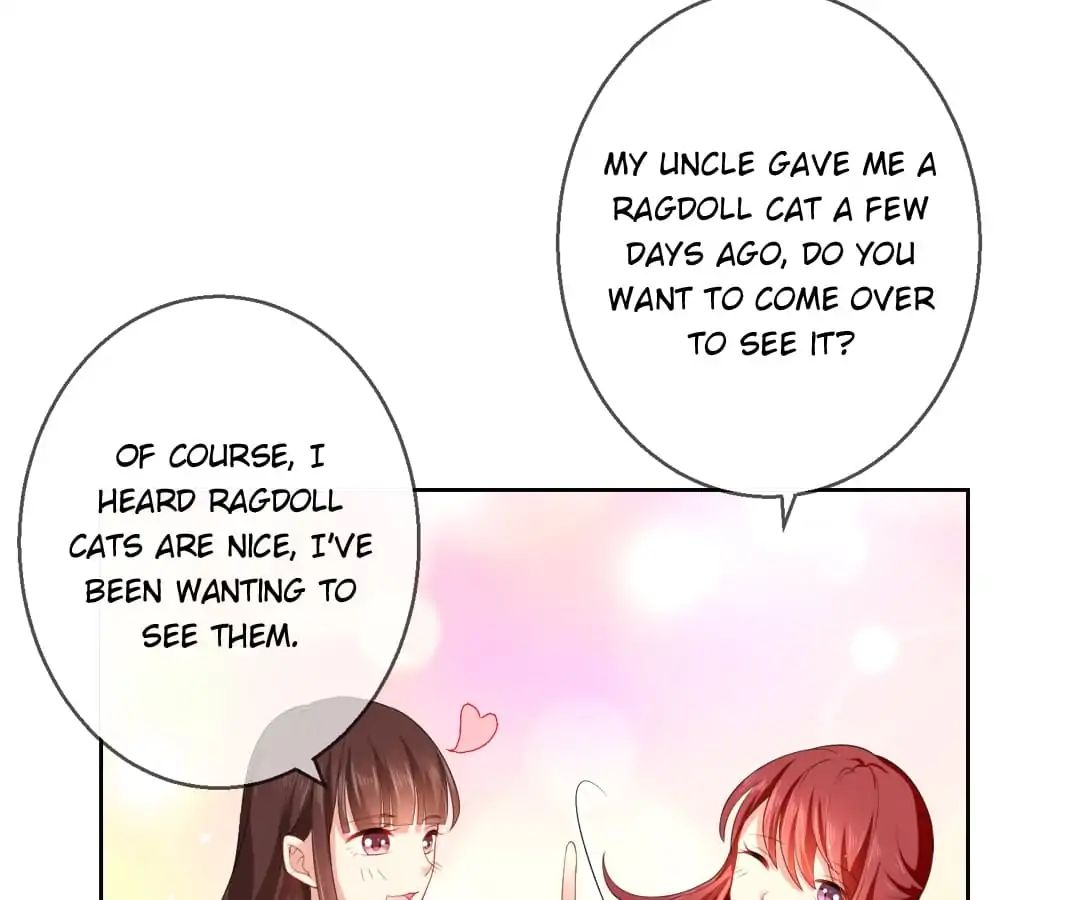 Popular Deskmate is A Cat chapter 11 - page 31