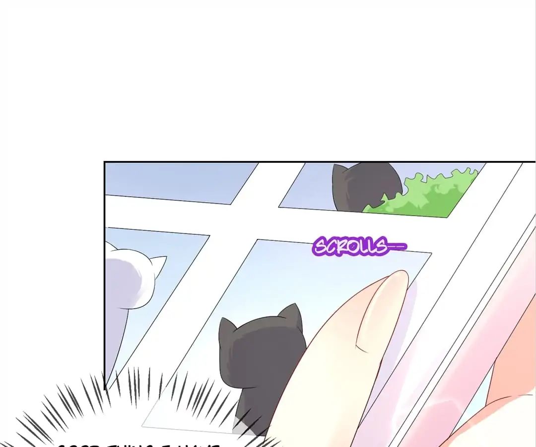 Popular Deskmate is A Cat chapter 15 - page 1