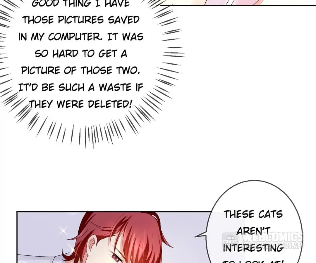 Popular Deskmate is A Cat chapter 15 - page 2