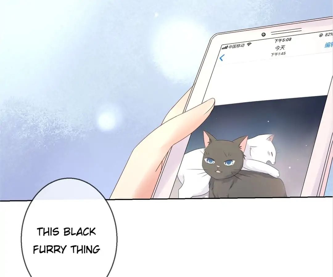 Popular Deskmate is A Cat chapter 15 - page 8