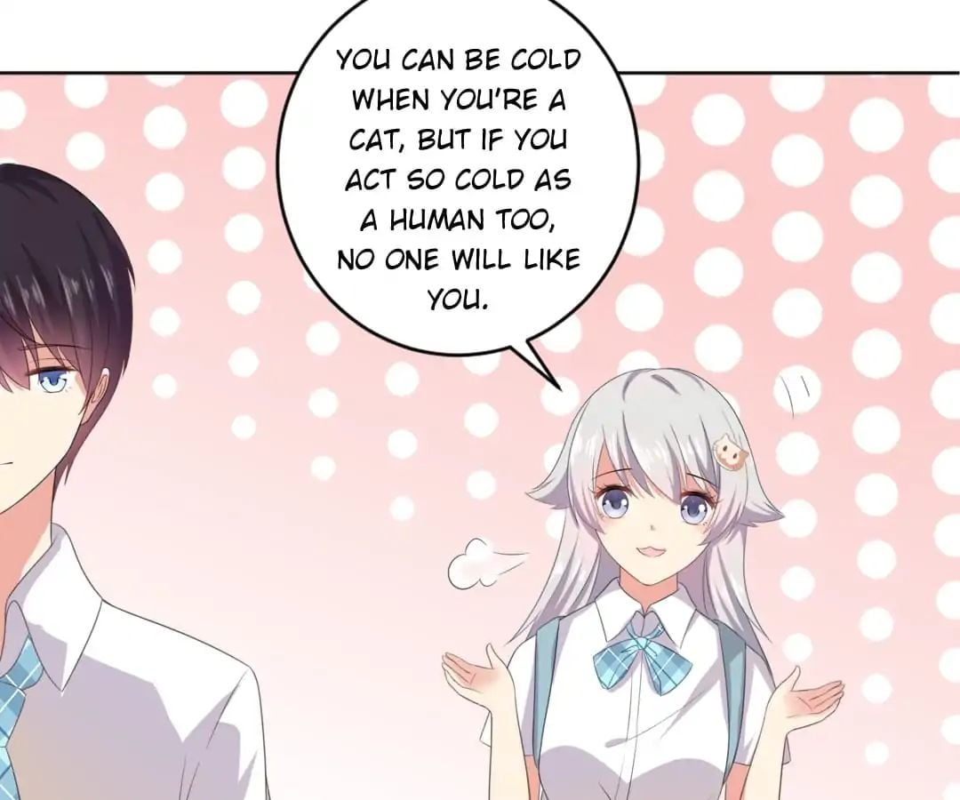 Popular Deskmate is A Cat chapter 2 - page 15