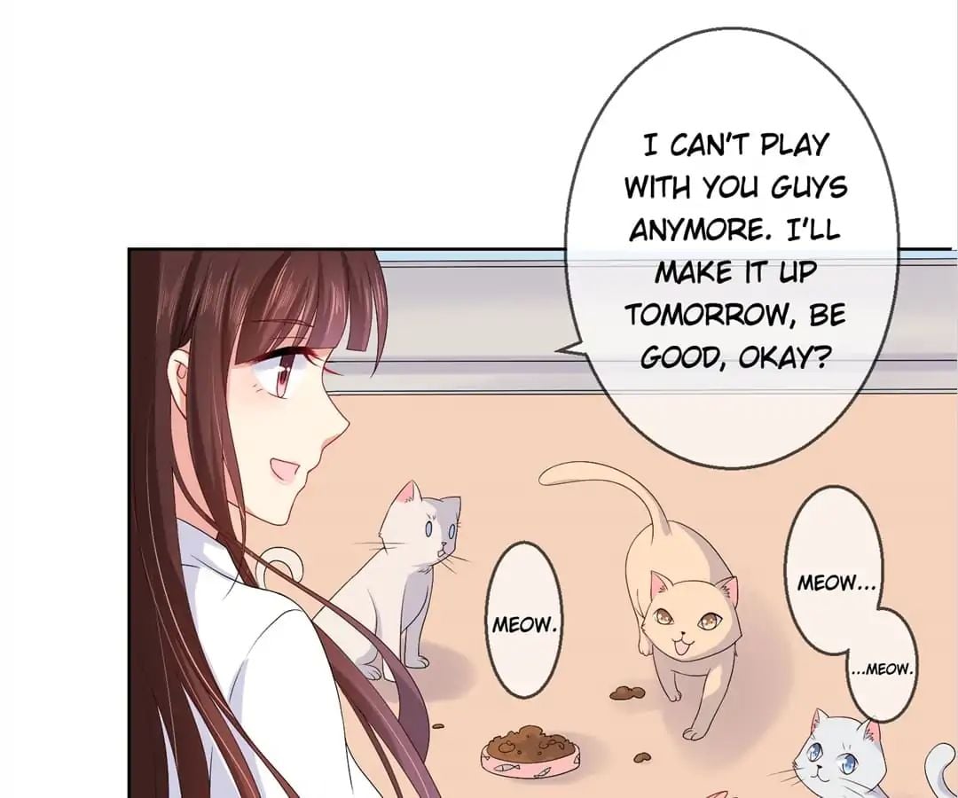 Popular Deskmate is A Cat chapter 21 - page 11