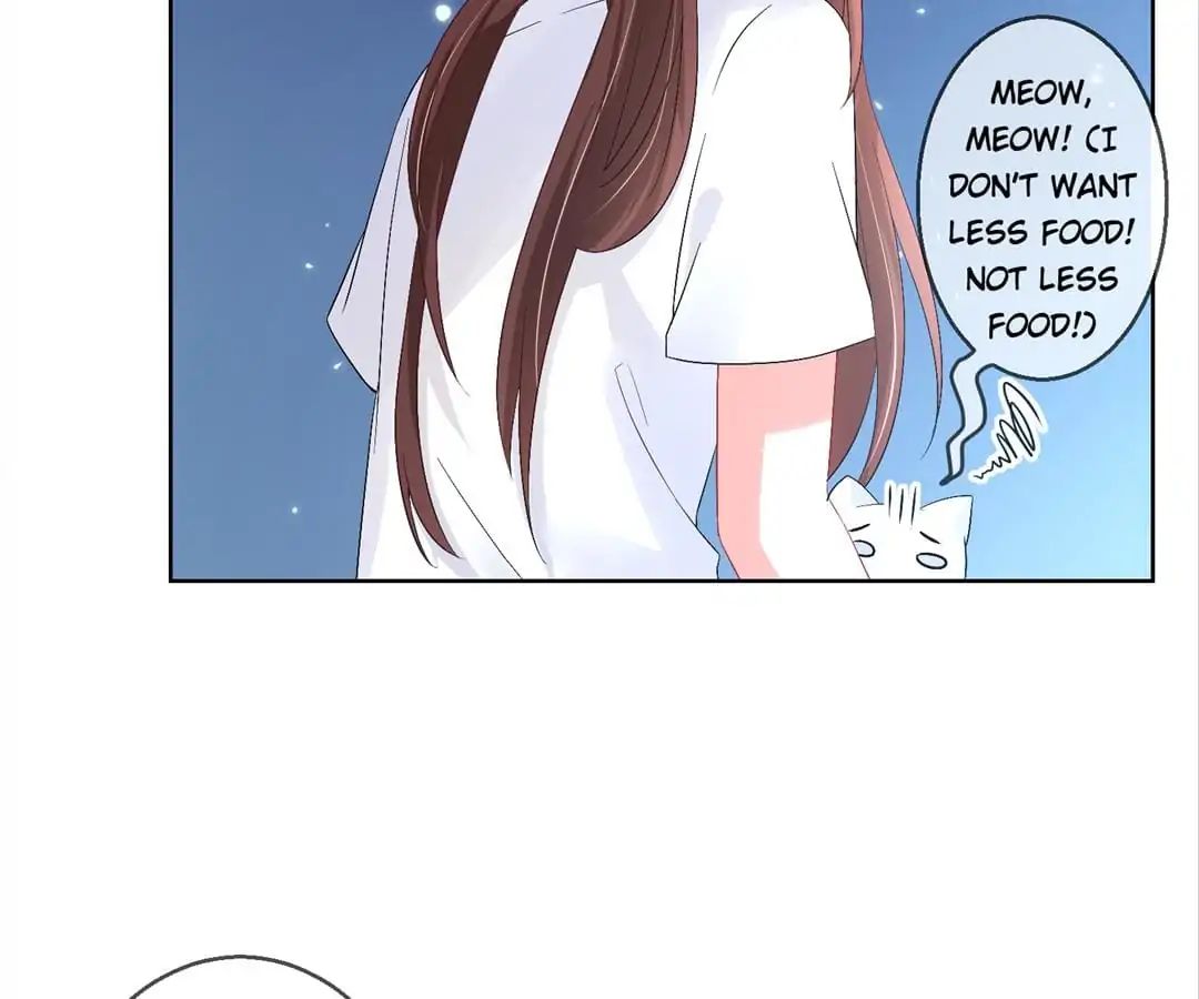Popular Deskmate is A Cat chapter 27 - page 30