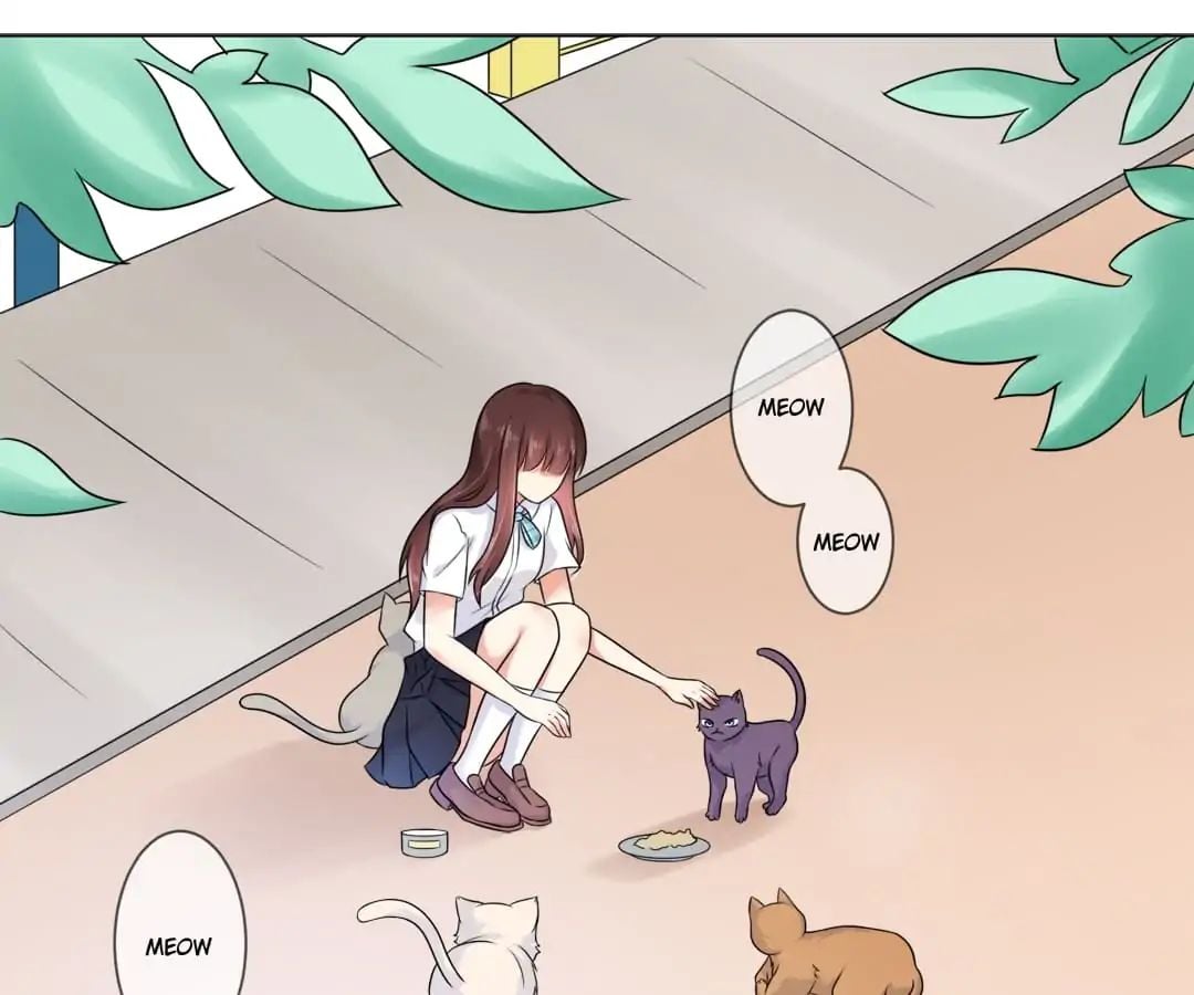 Popular Deskmate is A Cat chapter 3 - page 1