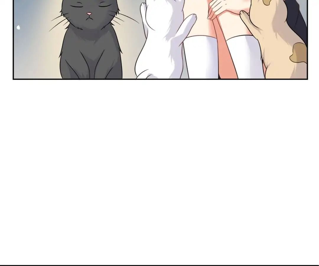Popular Deskmate is A Cat chapter 3 - page 11