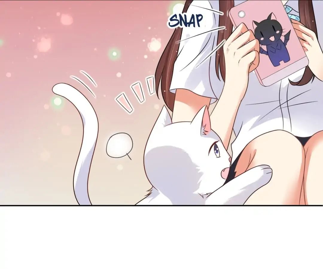 Popular Deskmate is A Cat chapter 3 - page 12