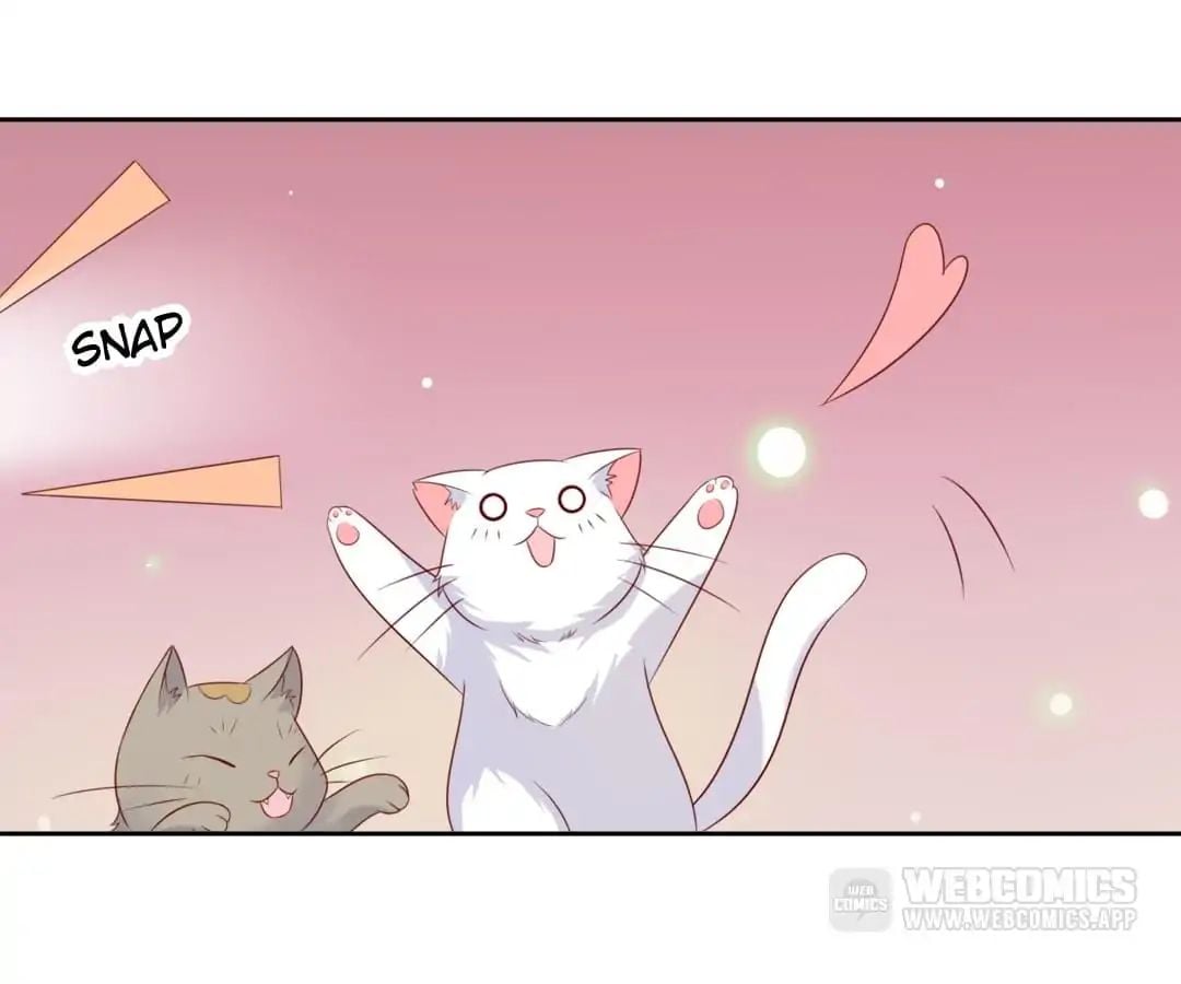 Popular Deskmate is A Cat chapter 3 - page 14