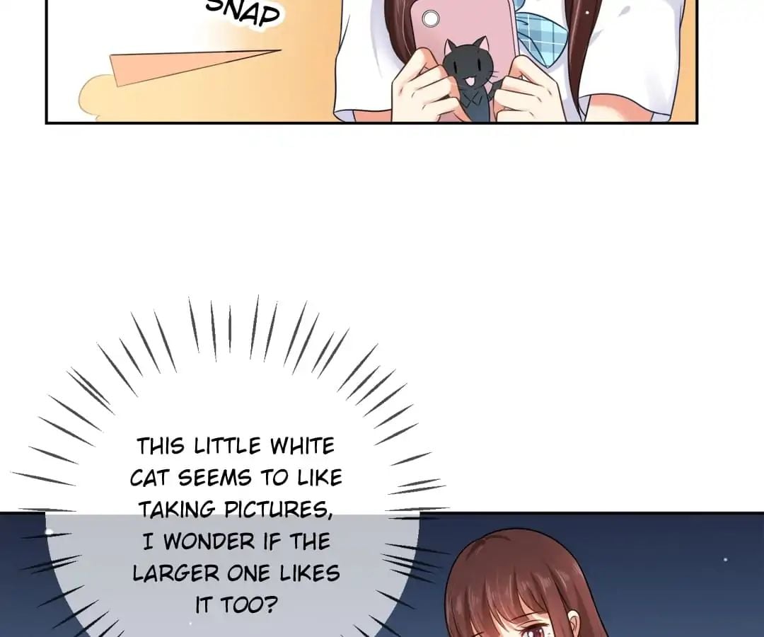 Popular Deskmate is A Cat chapter 3 - page 16