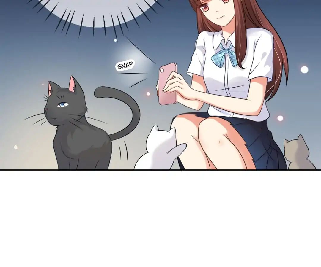 Popular Deskmate is A Cat chapter 3 - page 17