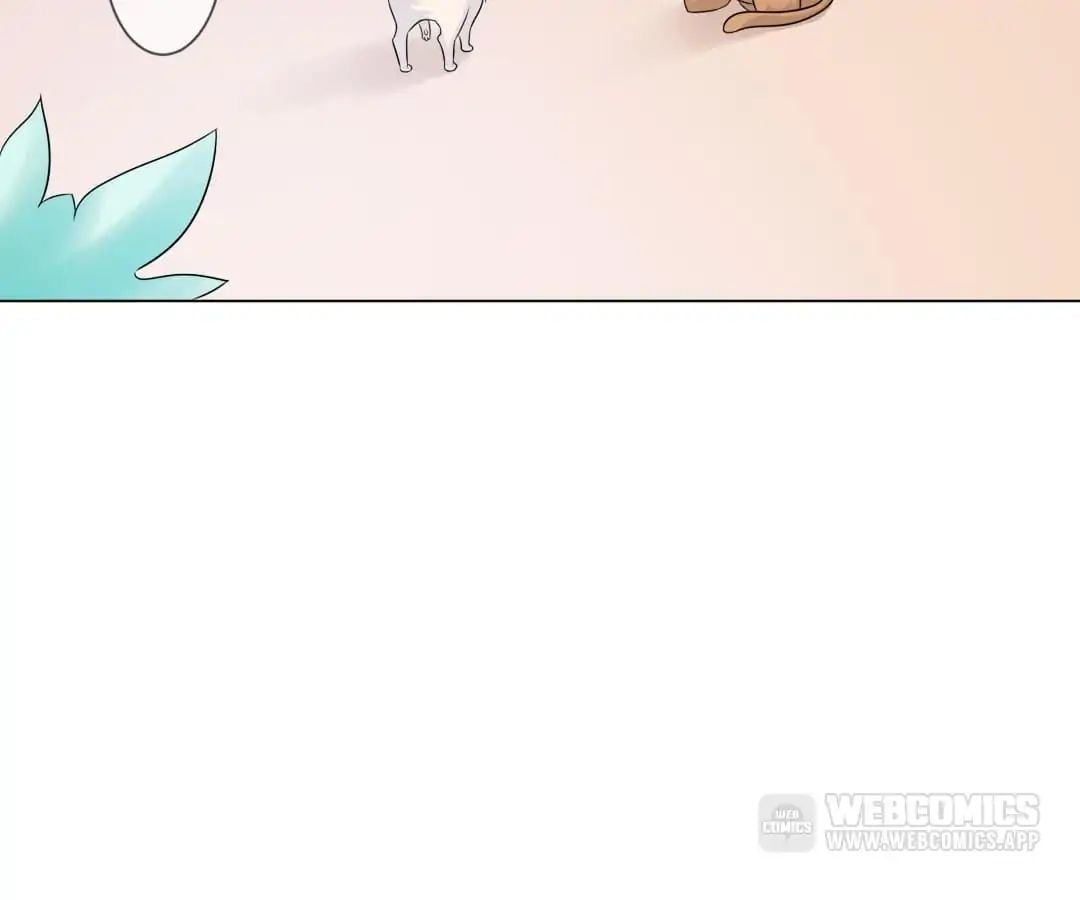 Popular Deskmate is A Cat chapter 3 - page 2