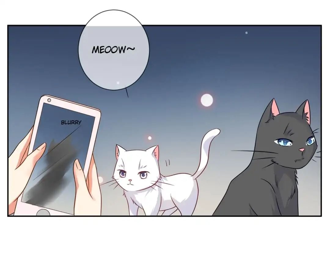 Popular Deskmate is A Cat chapter 3 - page 20