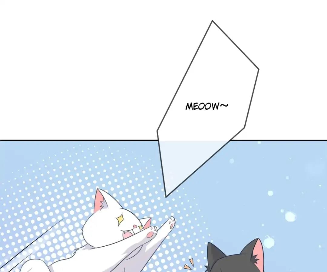 Popular Deskmate is A Cat chapter 3 - page 21