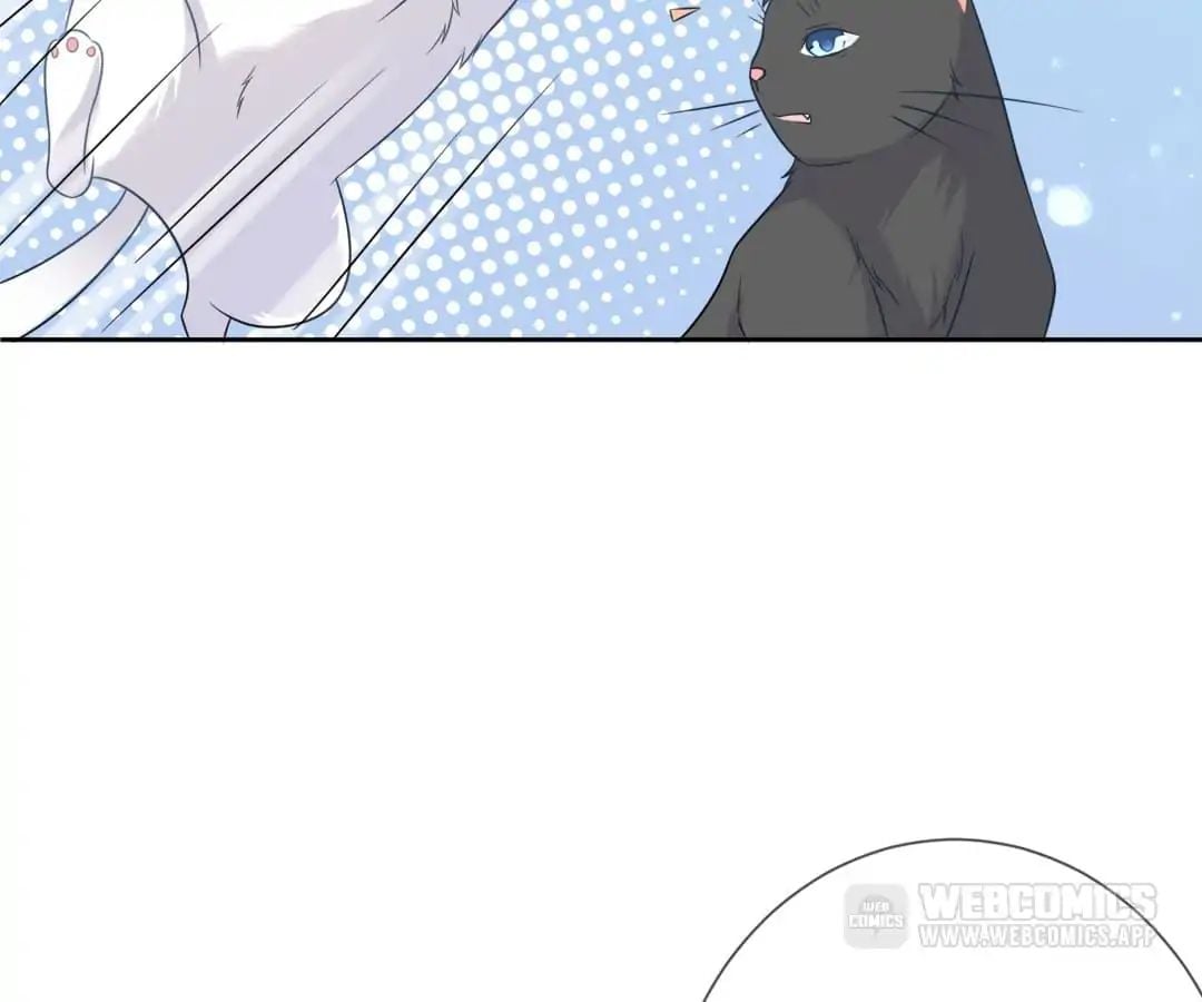 Popular Deskmate is A Cat chapter 3 - page 22