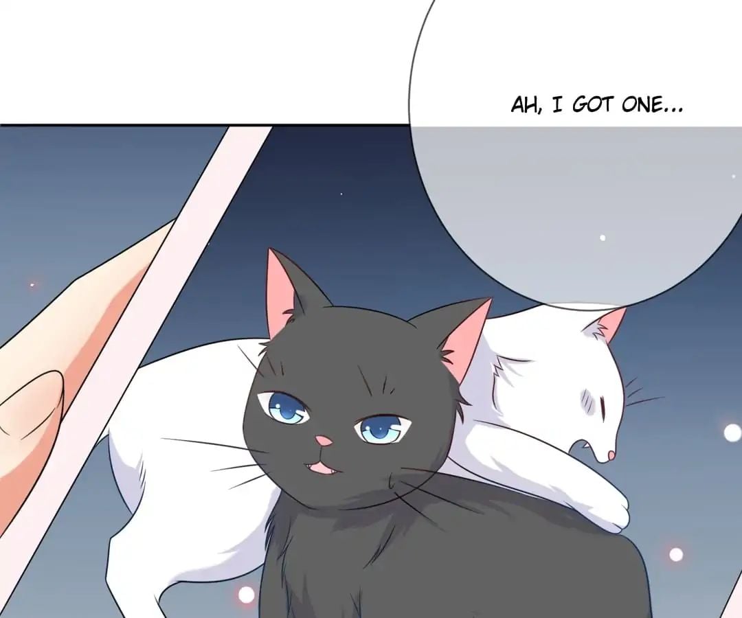 Popular Deskmate is A Cat chapter 3 - page 23