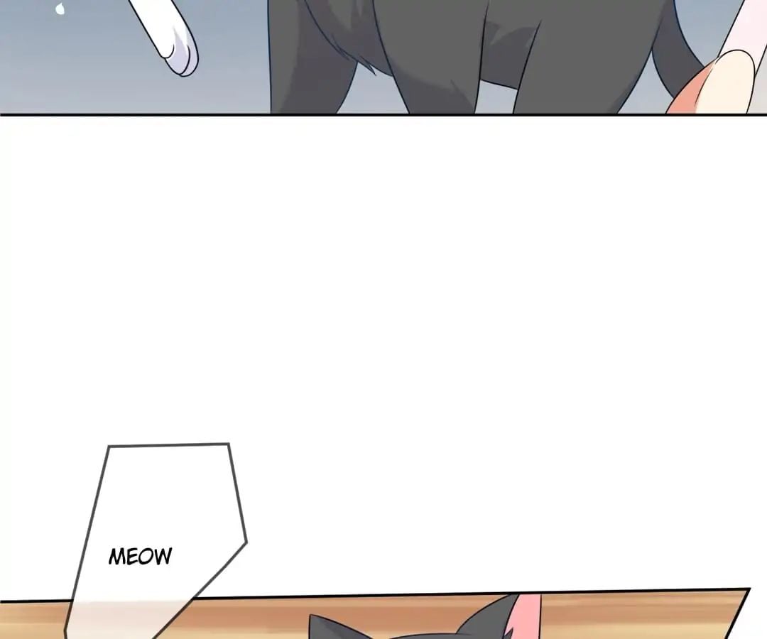Popular Deskmate is A Cat chapter 3 - page 24