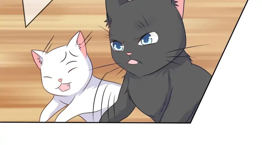 Popular Deskmate is A Cat chapter 3 - page 25