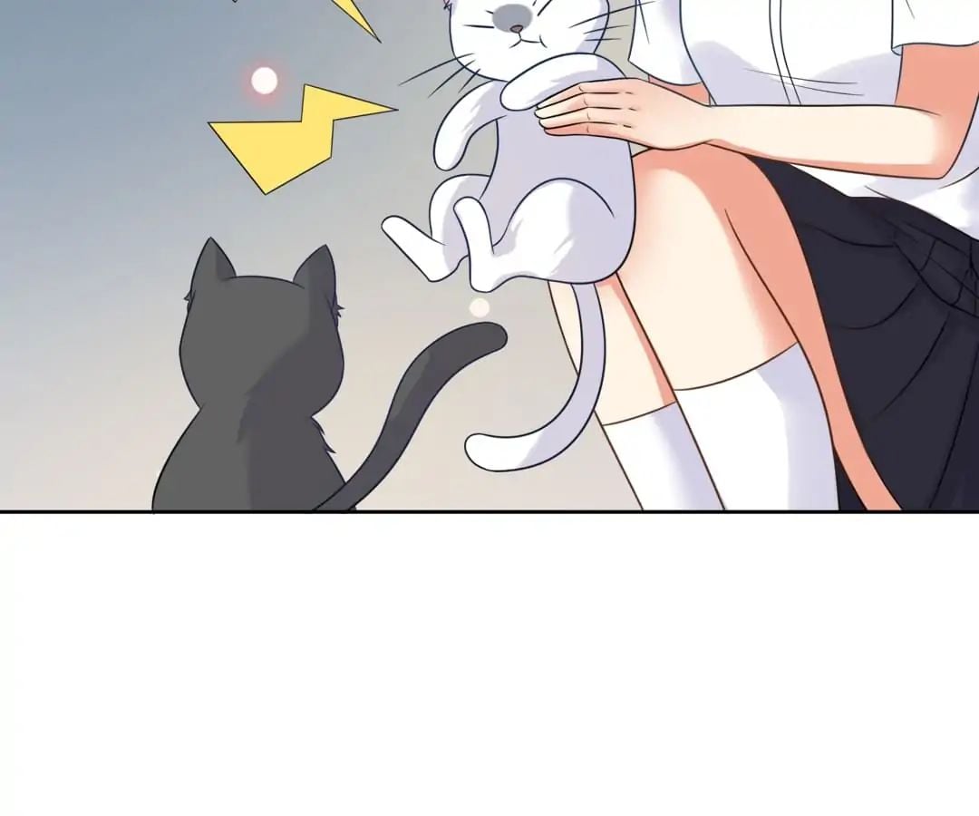 Popular Deskmate is A Cat chapter 3 - page 28