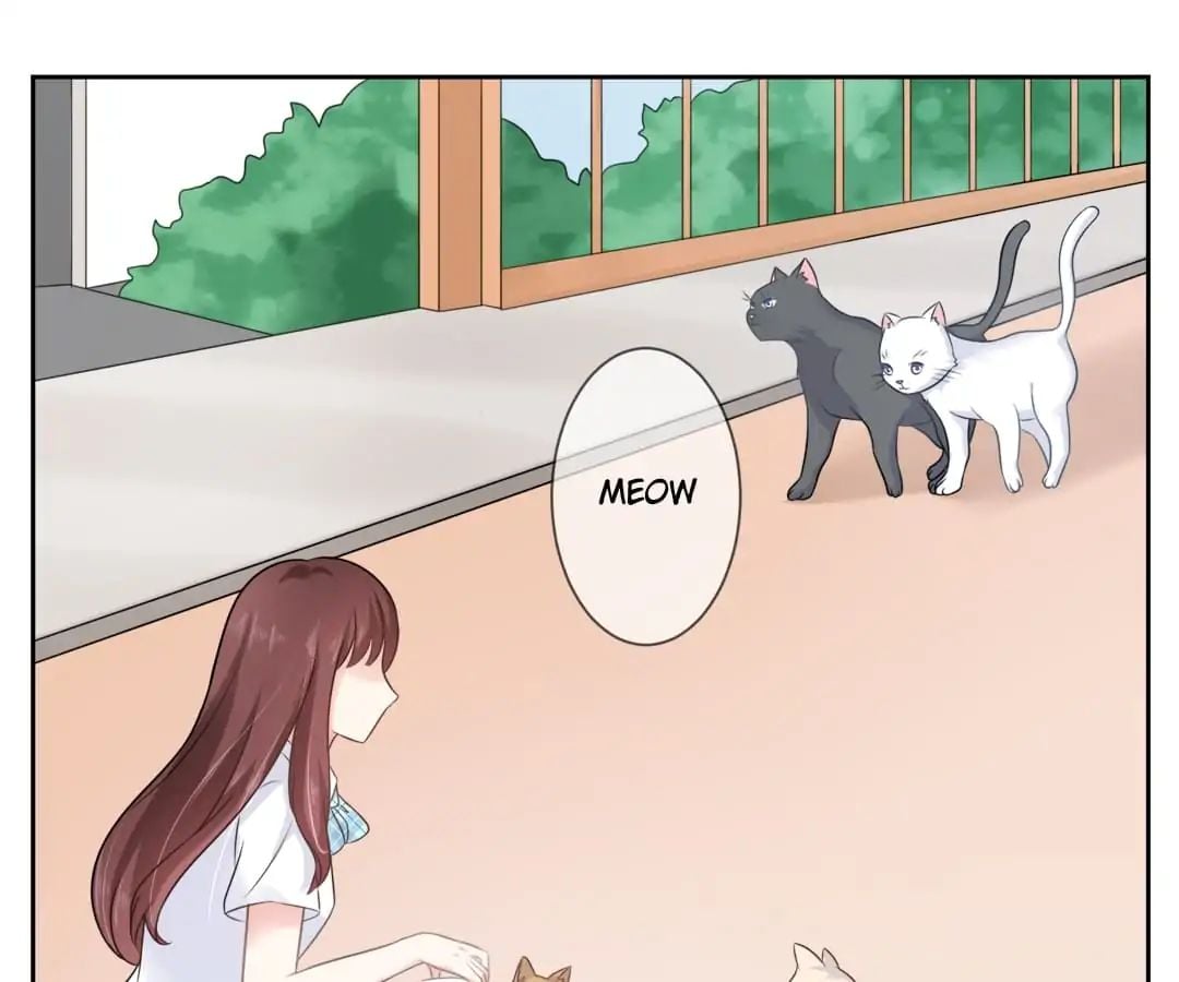 Popular Deskmate is A Cat chapter 3 - page 3