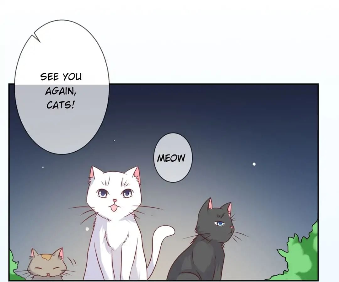 Popular Deskmate is A Cat chapter 3 - page 33
