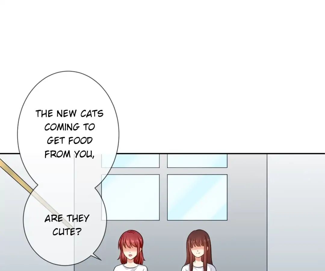 Popular Deskmate is A Cat chapter 3 - page 37