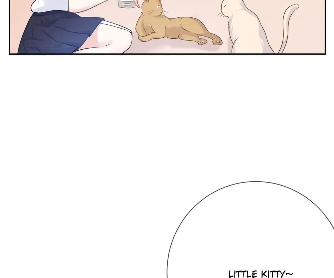 Popular Deskmate is A Cat chapter 3 - page 4