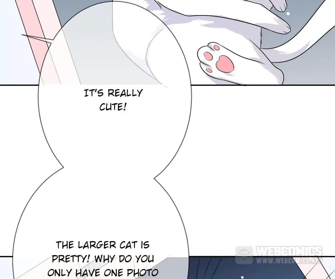 Popular Deskmate is A Cat chapter 3 - page 42