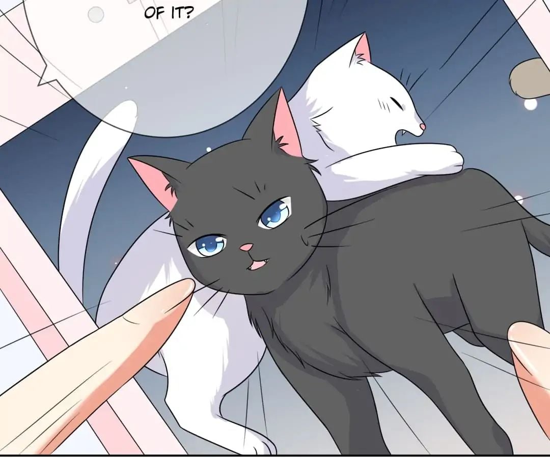 Popular Deskmate is A Cat chapter 3 - page 43