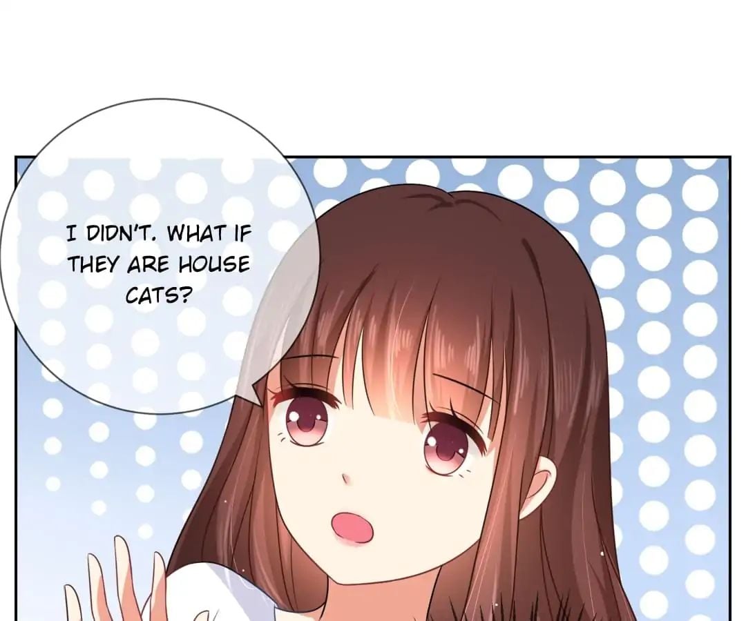 Popular Deskmate is A Cat chapter 3 - page 51