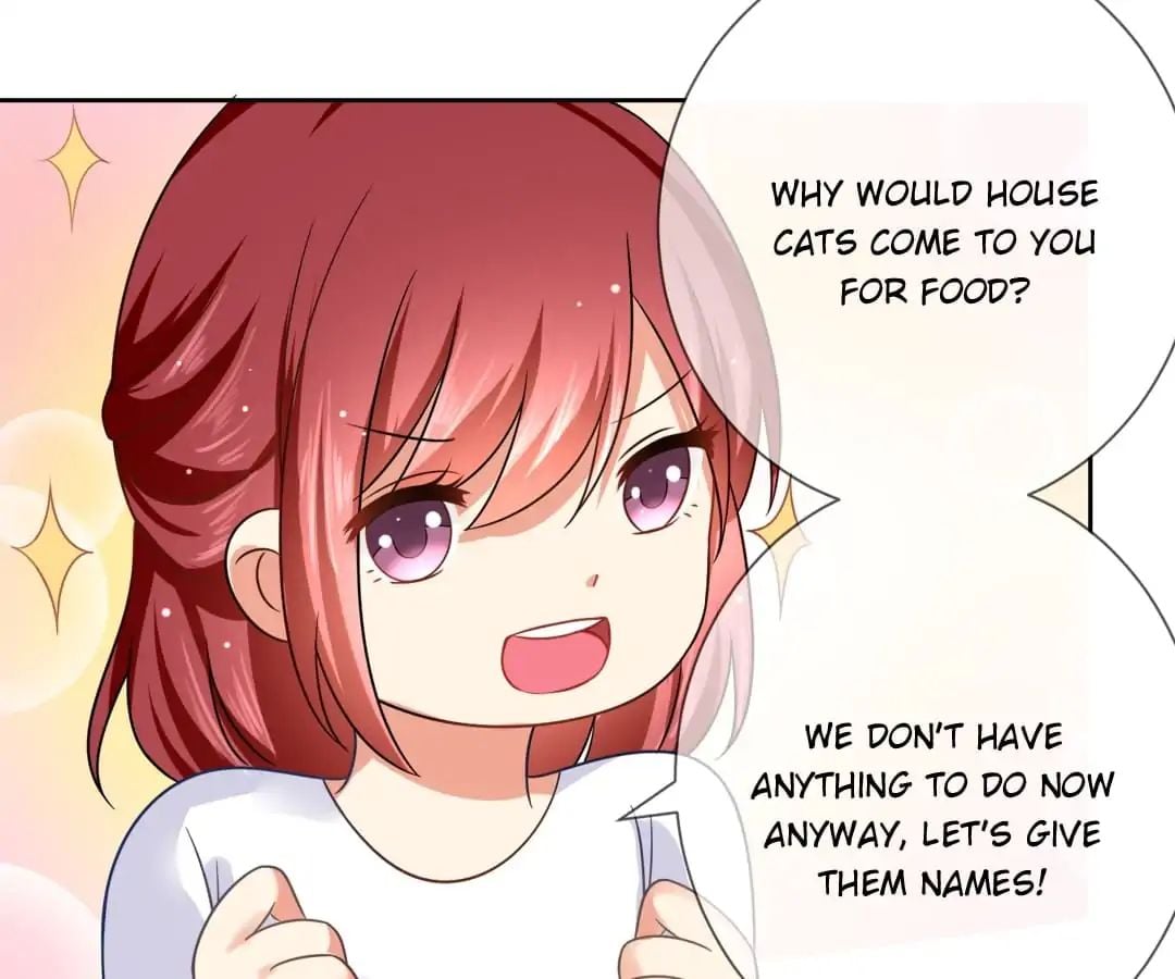 Popular Deskmate is A Cat chapter 3 - page 53
