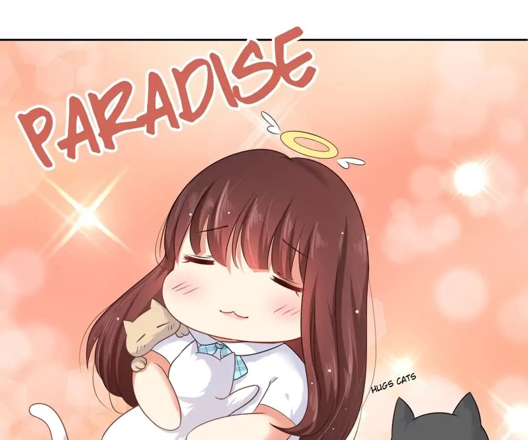 Popular Deskmate is A Cat chapter 3 - page 7