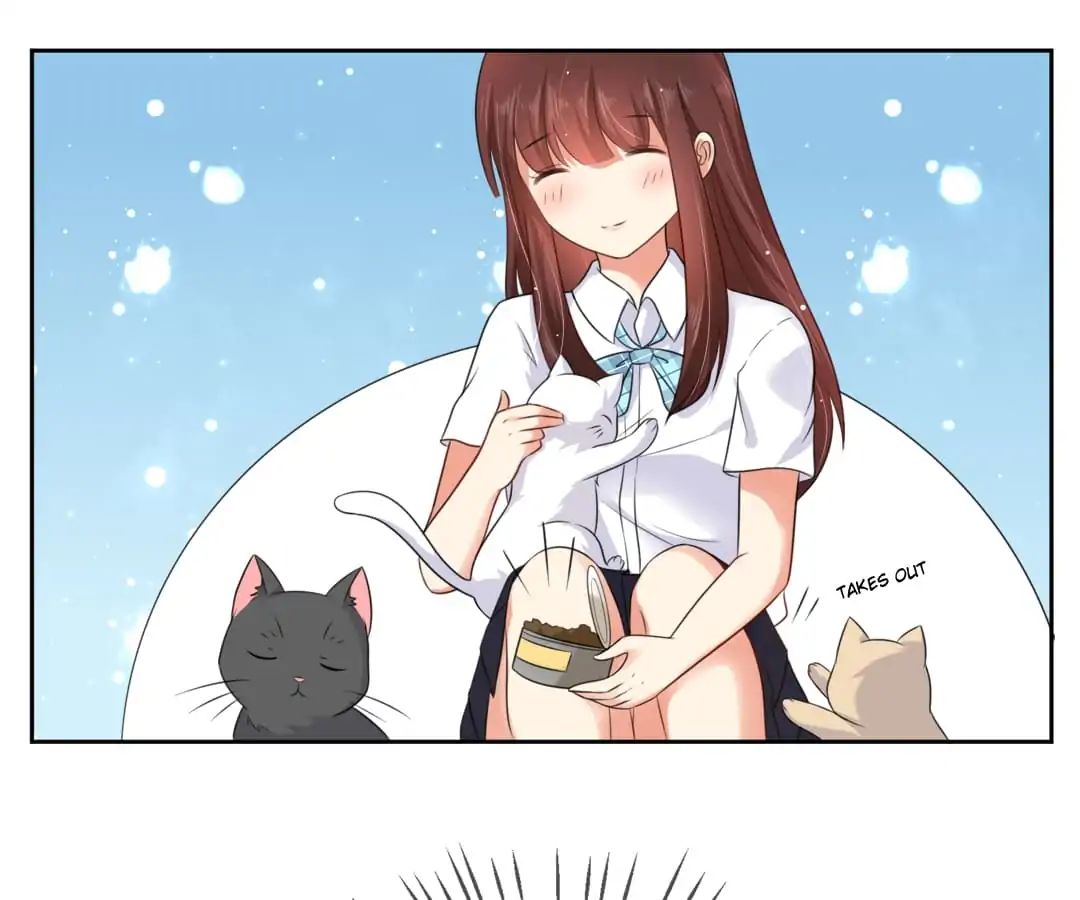Popular Deskmate is A Cat chapter 3 - page 9