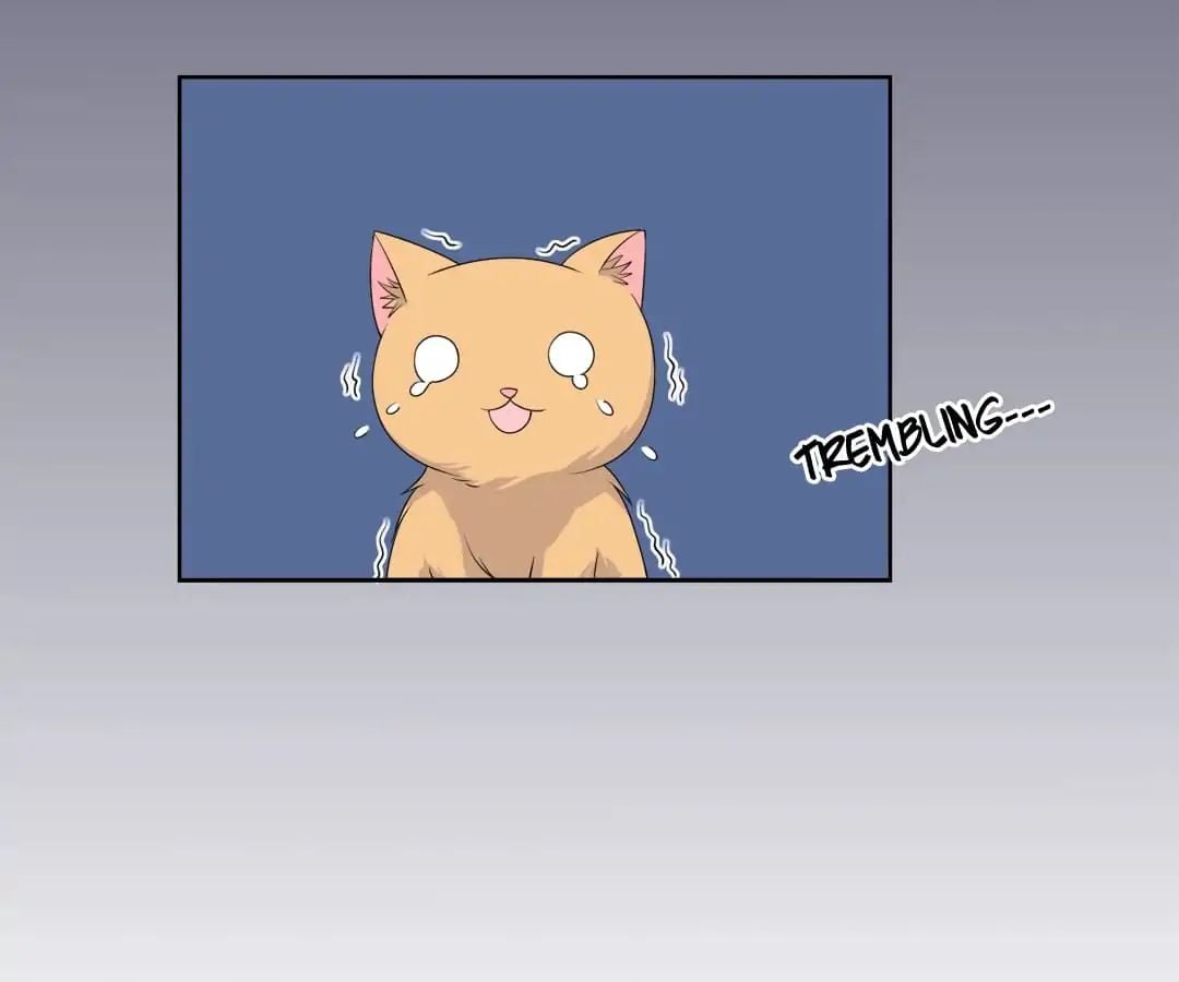 Popular Deskmate is A Cat chapter 9 - page 9