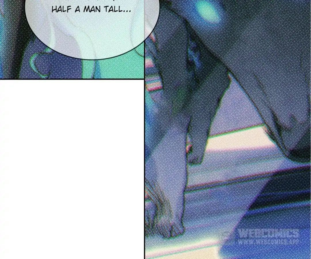 Night Hunter Chapter 39 - page 17