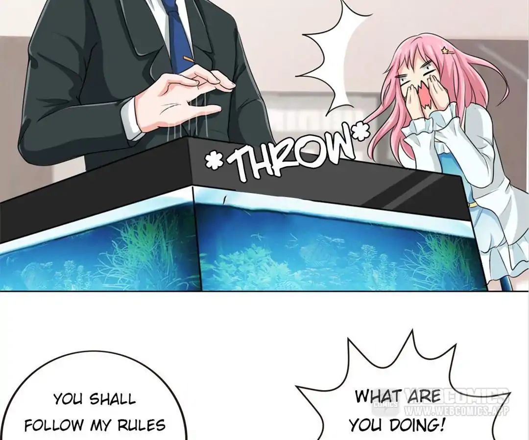 Become A Girl At Night Chapter 9 - page 14