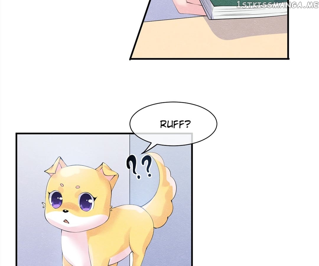 Long Live My Dear Prince Consort chapter 36 - page 33