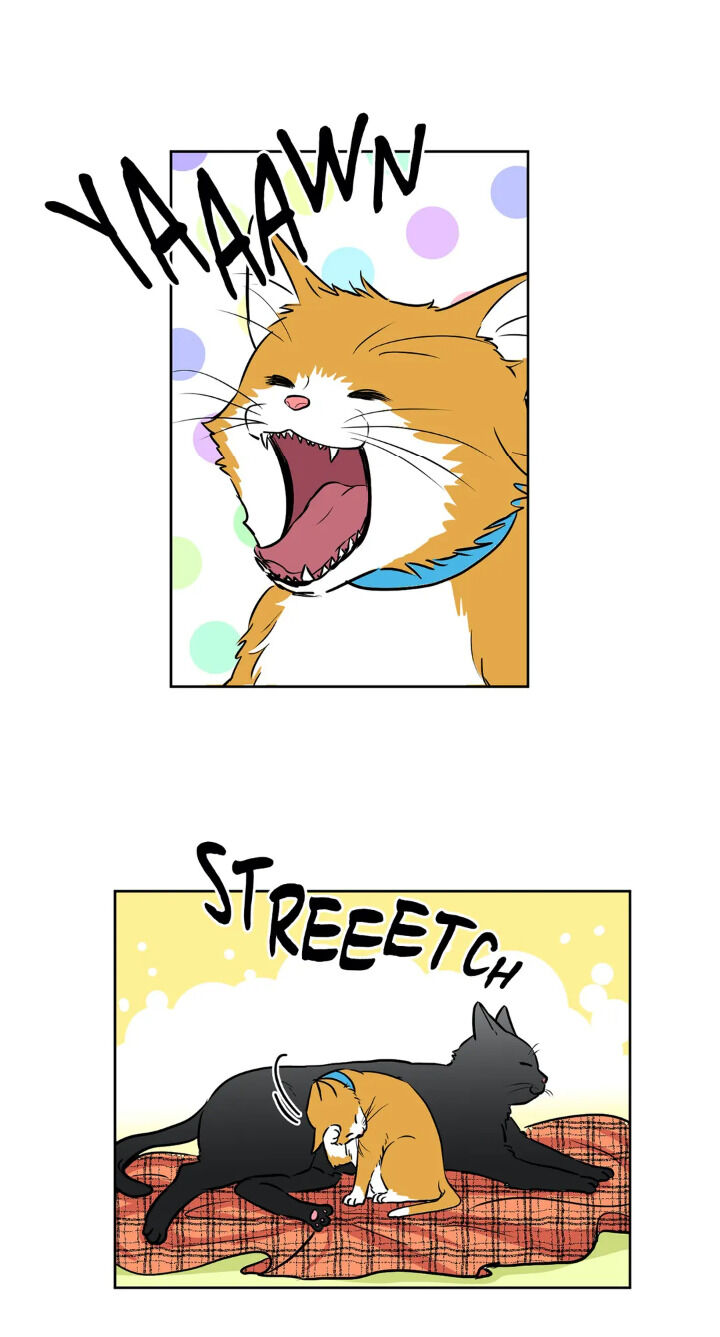 My Cute Beast! chapter 46 - page 2