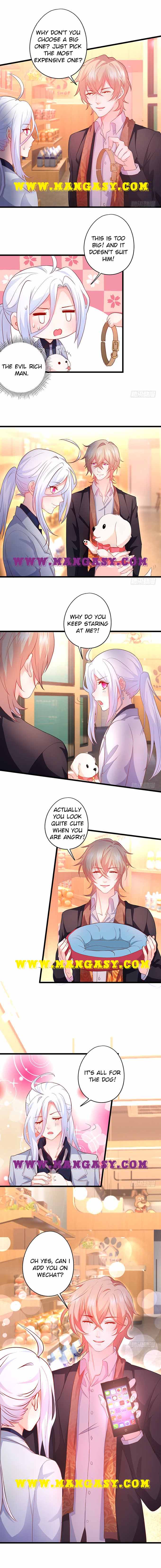 The Underworld Gangster Is A Little Adorable Chapter 51 - page 5