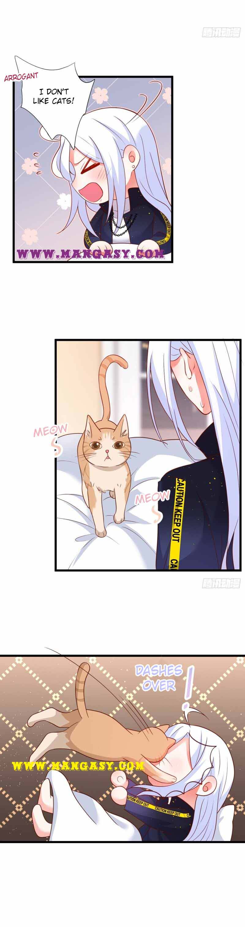 The Underworld Gangster Is A Little Adorable Chapter 207 - page 5