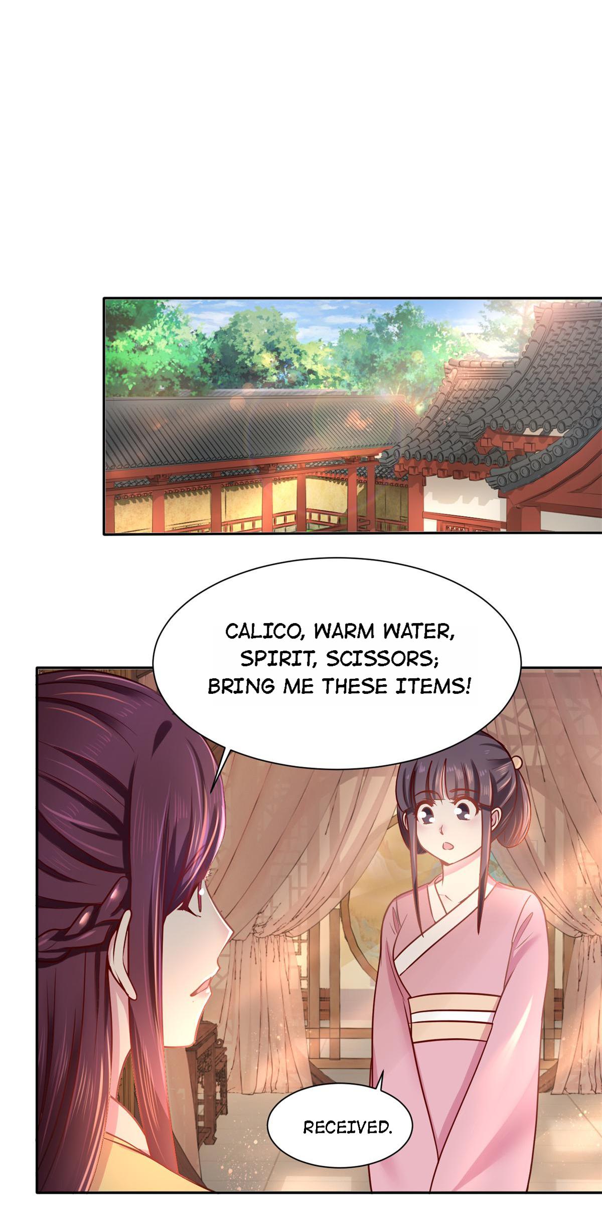 Rebel Princess: The Divine Doctor Outcast chapter 12 - page 6