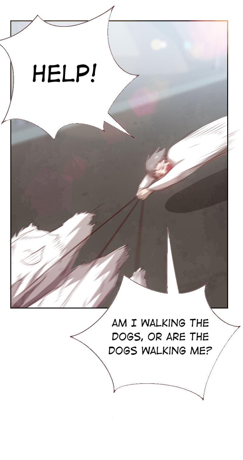 My Imperial Physician Chapter 51 - page 5