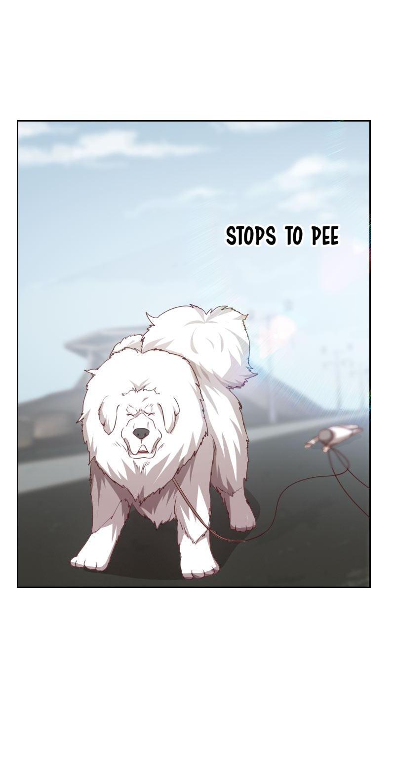 My Imperial Physician Chapter 51 - page 6