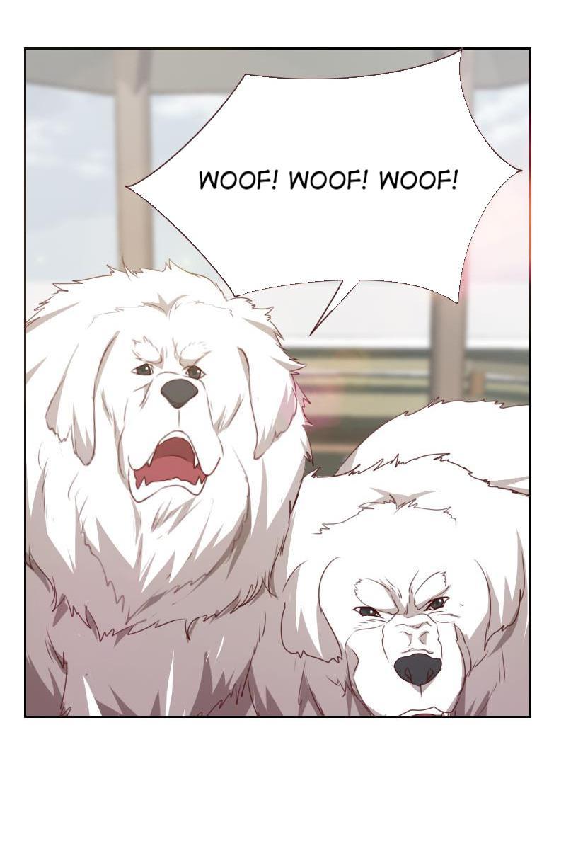 My Imperial Physician Chapter 52 - page 2