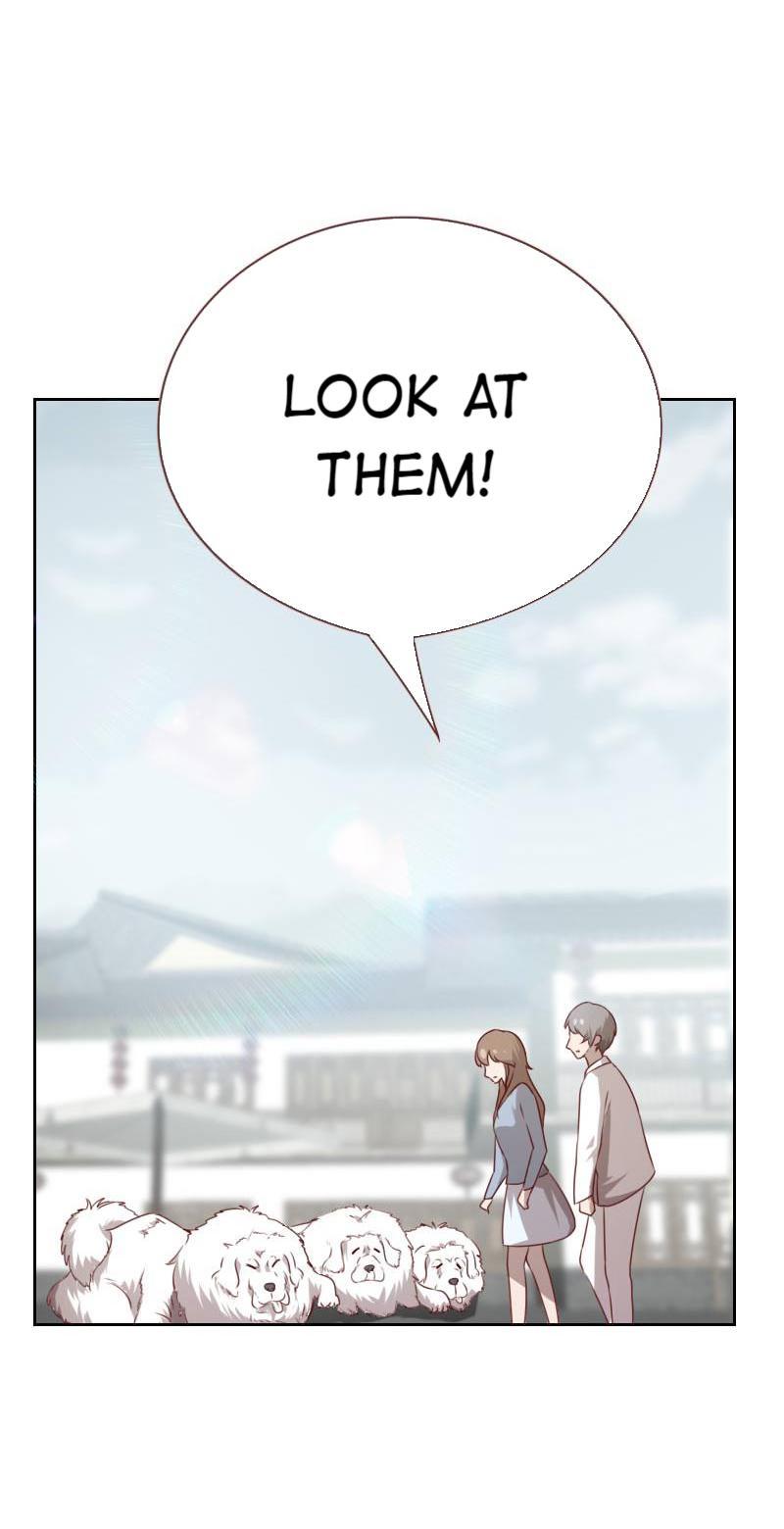 My Imperial Physician Chapter 56 - page 2