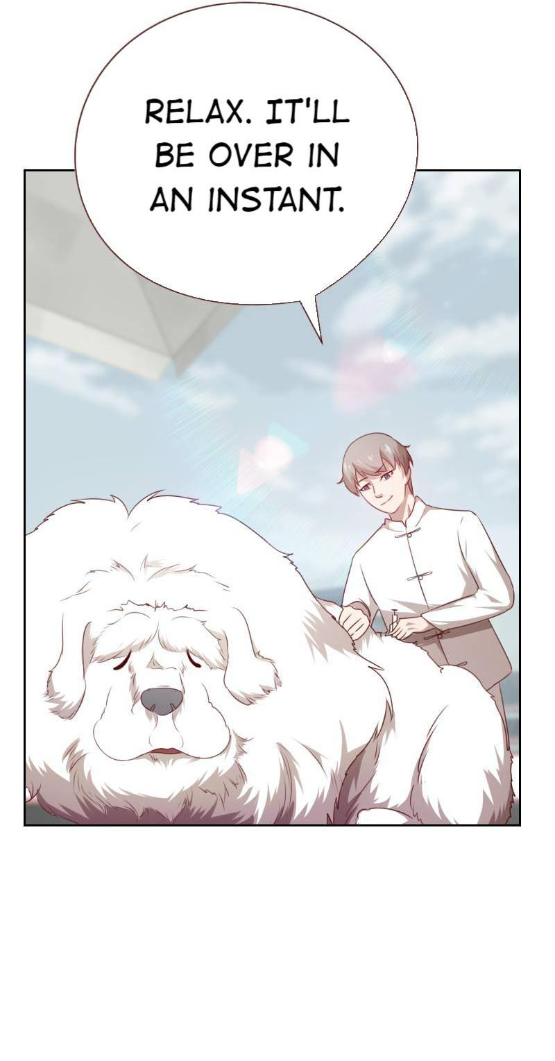 My Imperial Physician Chapter 56 - page 7
