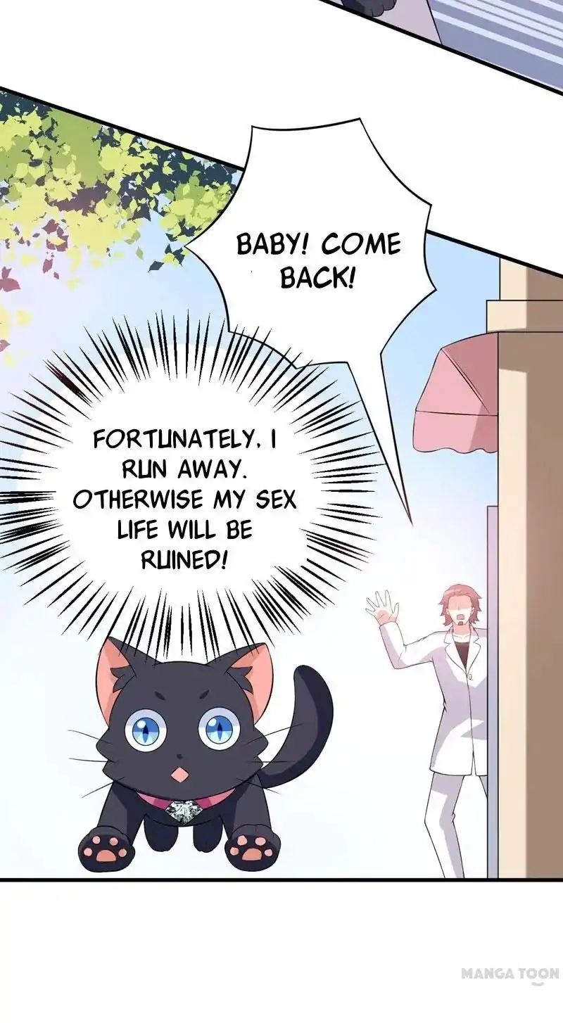 At Your Service, Kitty chapter 24 - page 28