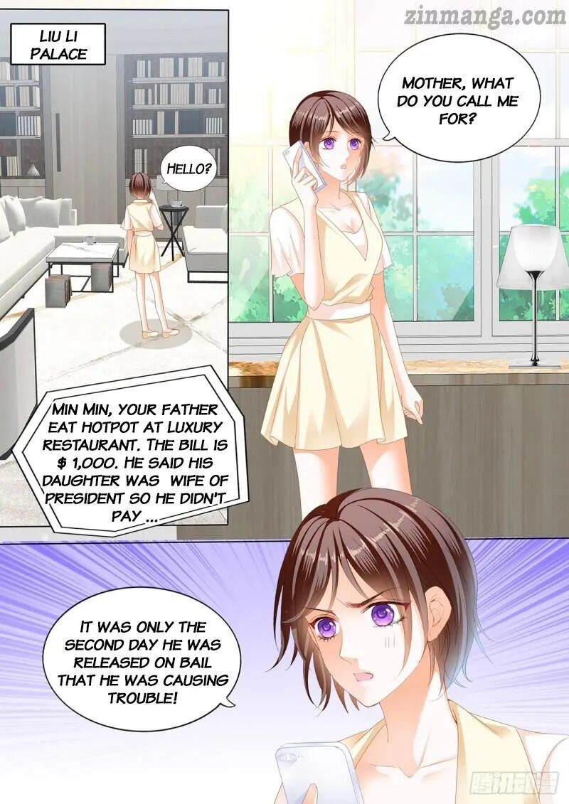 THE BEAUTIFUL WIFE OF THE WHIRLWIND MARRIAGE chapter 242 - page 1